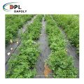 Agricultural Use Pp Plastic Fabric Anti Grass Ground Cover Weed Control Mat